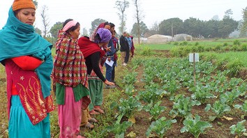 Why European Agriculture Companies Trust Us for Skilled Farm Workers and Managers